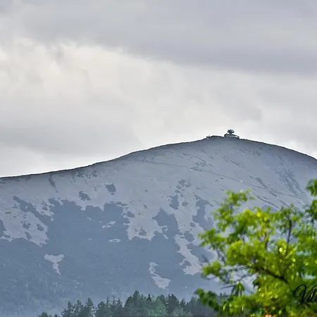 Agnes Karpacz-milkow