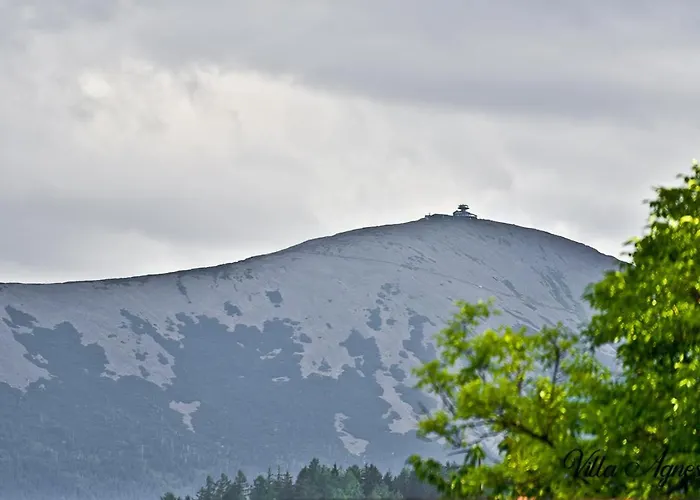 Agnes Karpacz-miłków